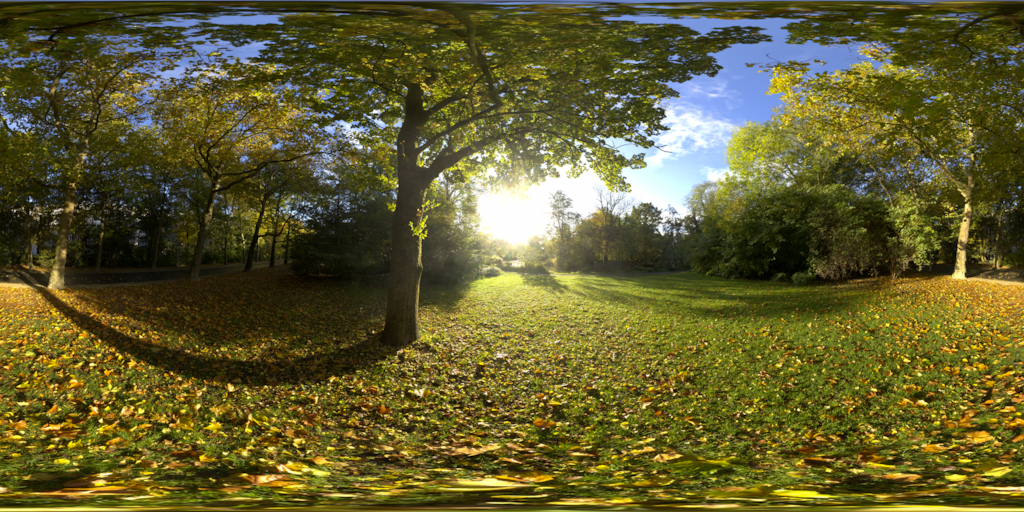 Sunny Vondelpark