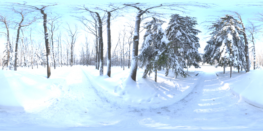 Winter Forest